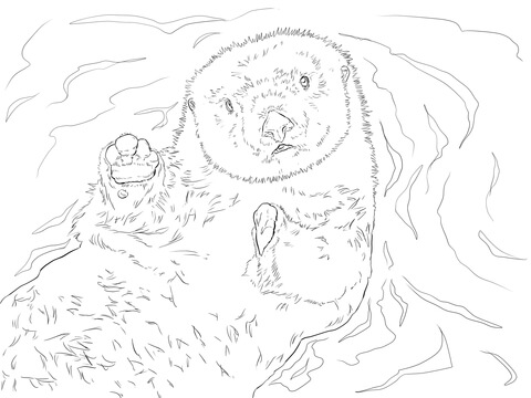 Sea Otter Portrait Coloring page