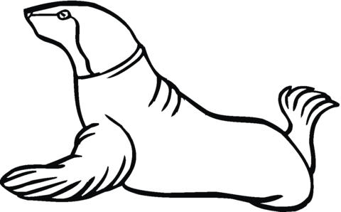 Seal 7 Coloring page