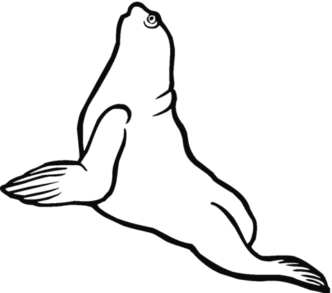 Seal 9 Coloring page