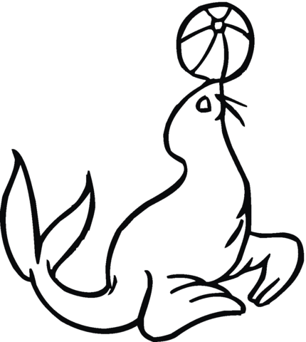 Seal Play The Ball Coloring page