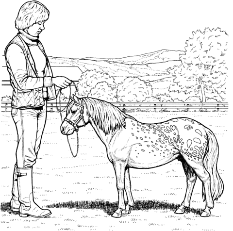 Shetland Pony Coloring page