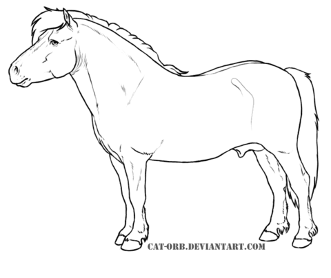 Shetland Pony Coloring page