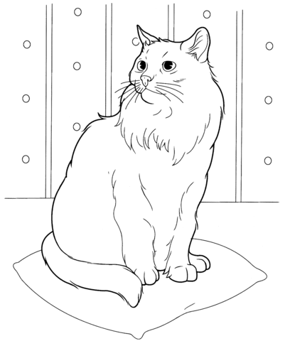 Siberian Cat  Coloring page