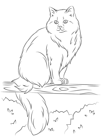 Siberian Cat Sits on A Tree Coloring page