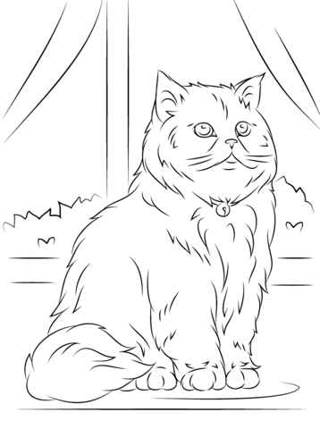 Sitting Persian Cat Coloring page