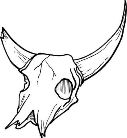 Skull Bone Coloring page