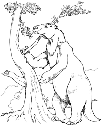 Prehistoric Giant Ground Sloth Coloring page