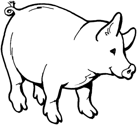 Smiling Pig Coloring page