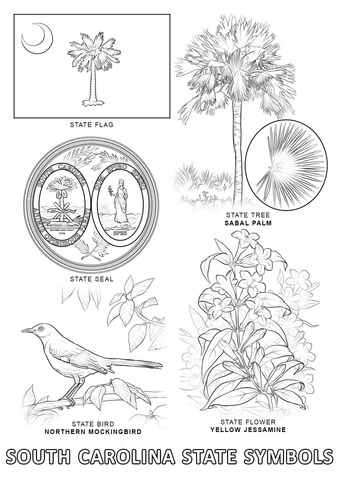 South Carolina State Symbols Coloring page