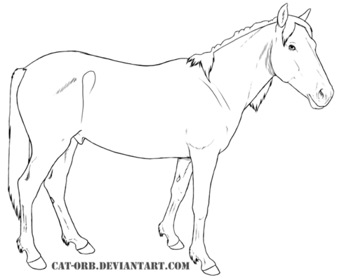 Spanish Mustang Coloring page