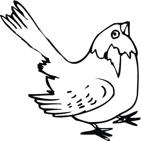 Sparrow 15 Coloring page