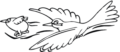 Sparrow 20 Coloring page