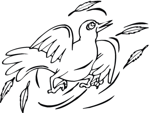 Sparrow 23 Coloring page