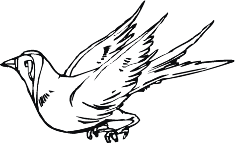 Sparrow 7 Coloring page