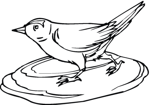 Sparrow 8 Coloring page