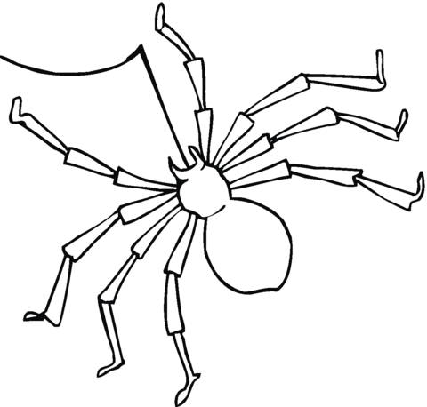 Spider 10 Coloring page