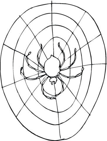 Spider 12 Coloring page