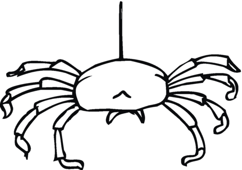 Spider 19 Coloring page