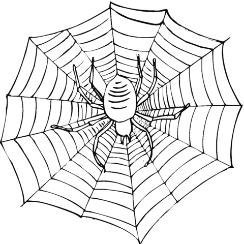 Scary Spider on a Web Coloring page