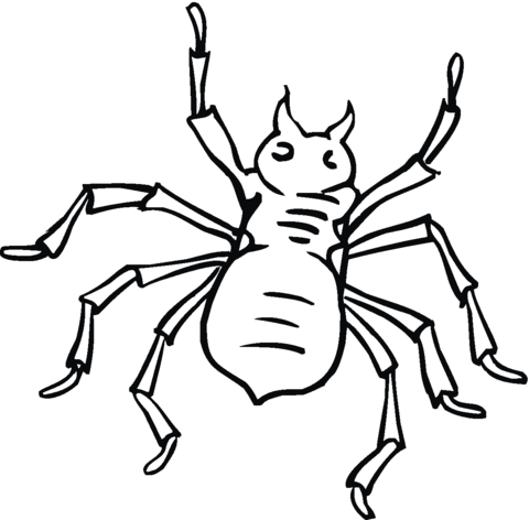 Spider 22 Coloring page