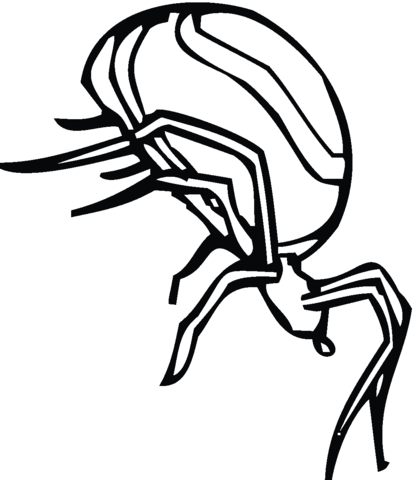 Spider 7 Coloring page