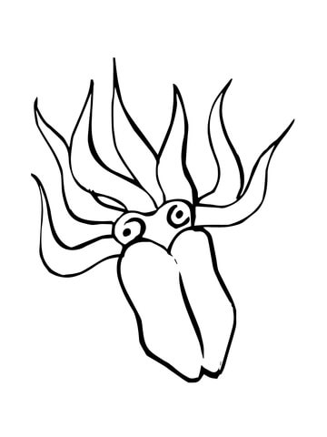 Squid Coloring page