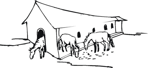 Stable  Coloring page