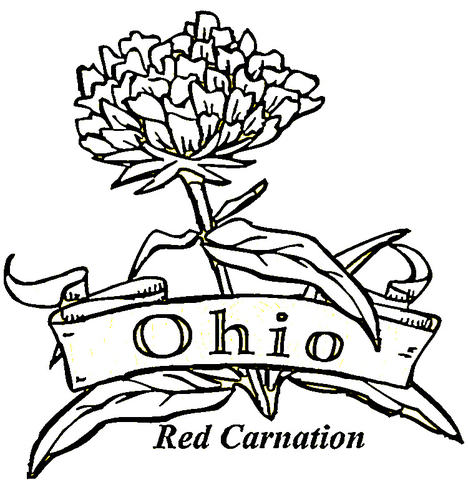 State Of Ohio  Coloring page