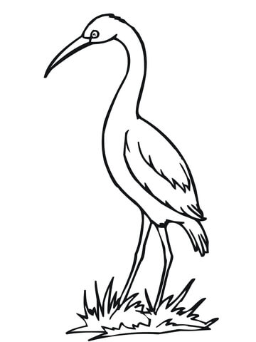 Stork Bird Coloring page