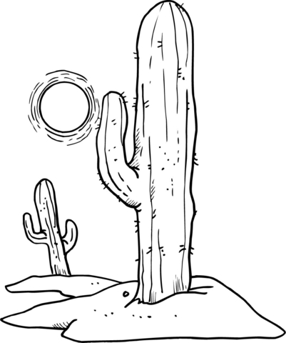 Sun over Desert Cactuses Coloring page