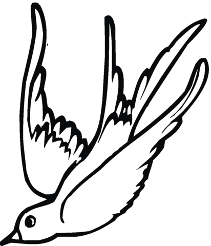 Swallow 12 Coloring page