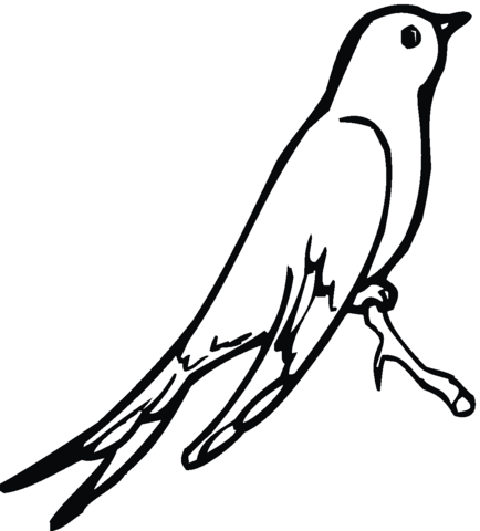 Swallow 13 Coloring page