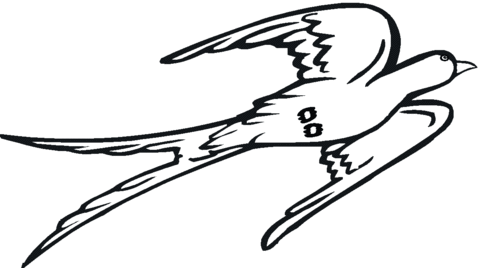 Swallow 14 Coloring page