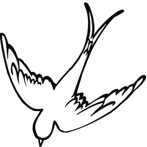 Swallow 15 Coloring page