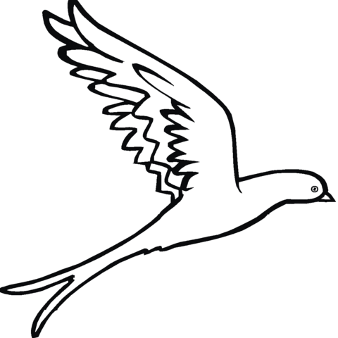 Swallow 17 Coloring page