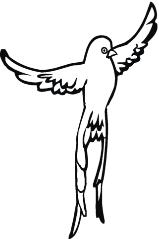 Swallow 18 Coloring page