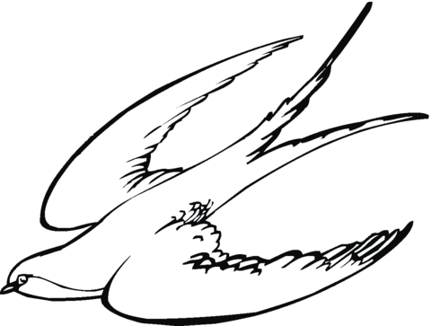 Swallow 3 Coloring page