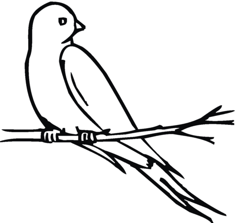 Swallow 8 Coloring page