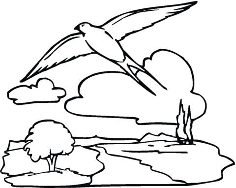 Swallow Is Flying In The Sky Coloring page