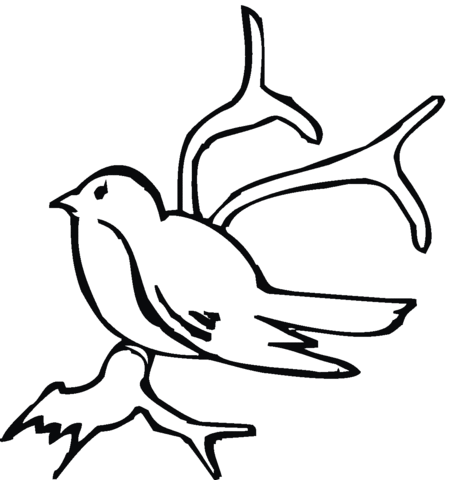 Swallow On A Branch Coloring page