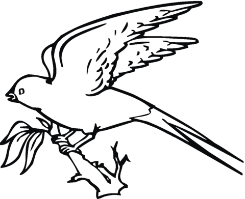 Swallow Will Fly Coloring page