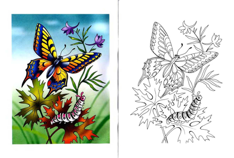 Swallowtail Butterfly and Caterpillar Coloring page