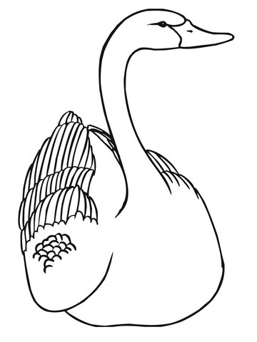 Swan Coloring page