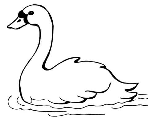 Swan Swimming Coloring page