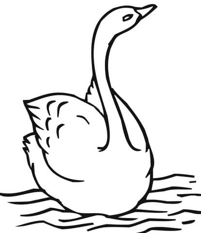 Swimming Swan Coloring page