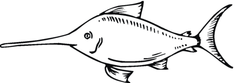 Swordfish 5 Coloring page