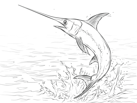 Swordfish Jumping out of Water Coloring page