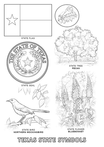 Texas State Symbols Coloring page