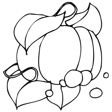 Thanksgiving Pumpkin  Coloring page