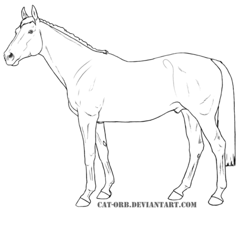 Thoroughbred Coloring page